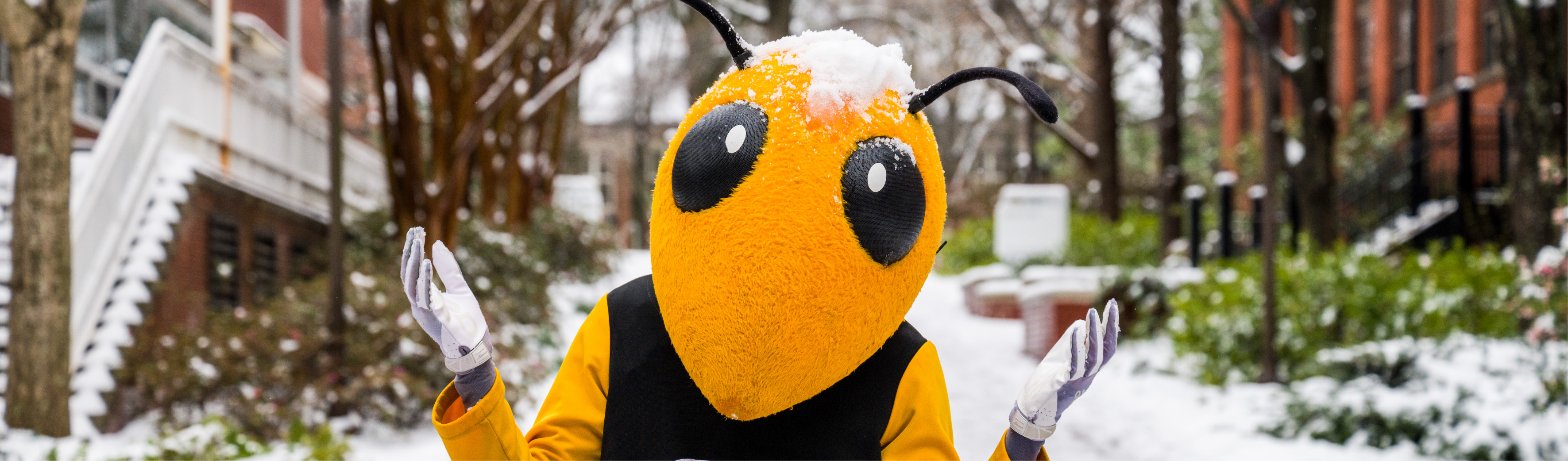 Home for the Holidays web header
