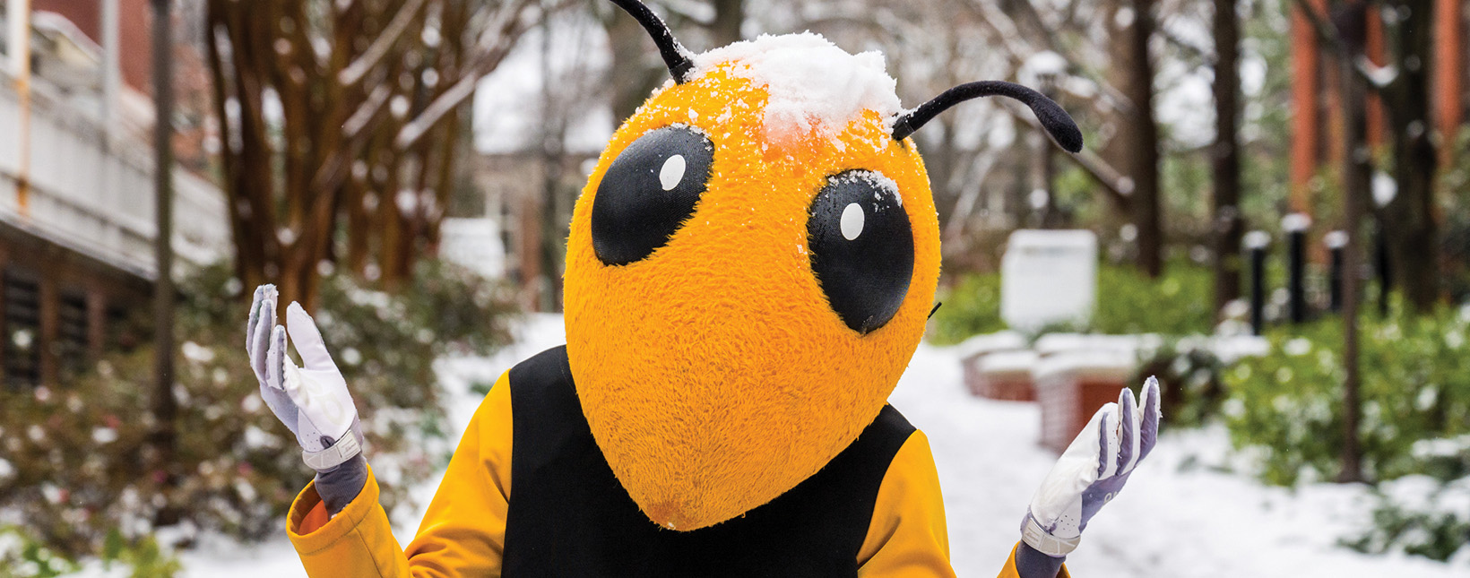 Buzz covered in snow on campus